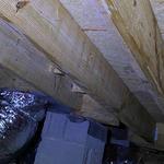 Heartstrong Services - photo 4