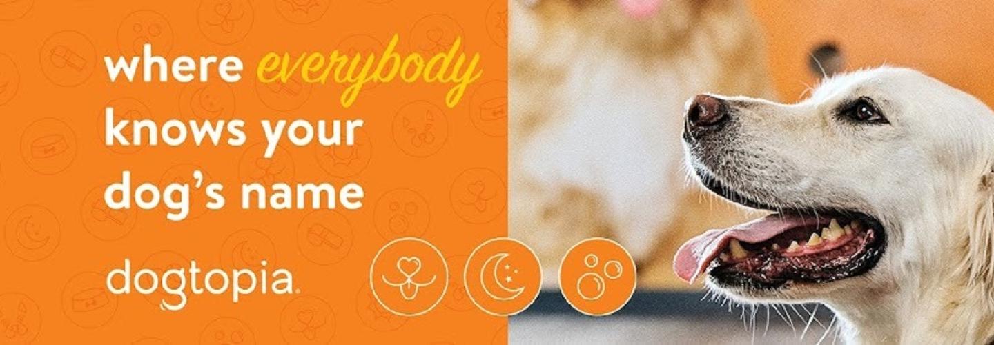 Dogtopia of Downtown Cleveland cover photo