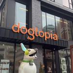 Dogtopia of Downtown Cleveland - photo 1