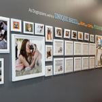 Dogtopia of Downtown Cleveland - photo 7