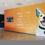 Dogtopia of Downtown Cleveland - photo 8