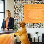 Dogtopia of Downtown Cleveland - photo 9