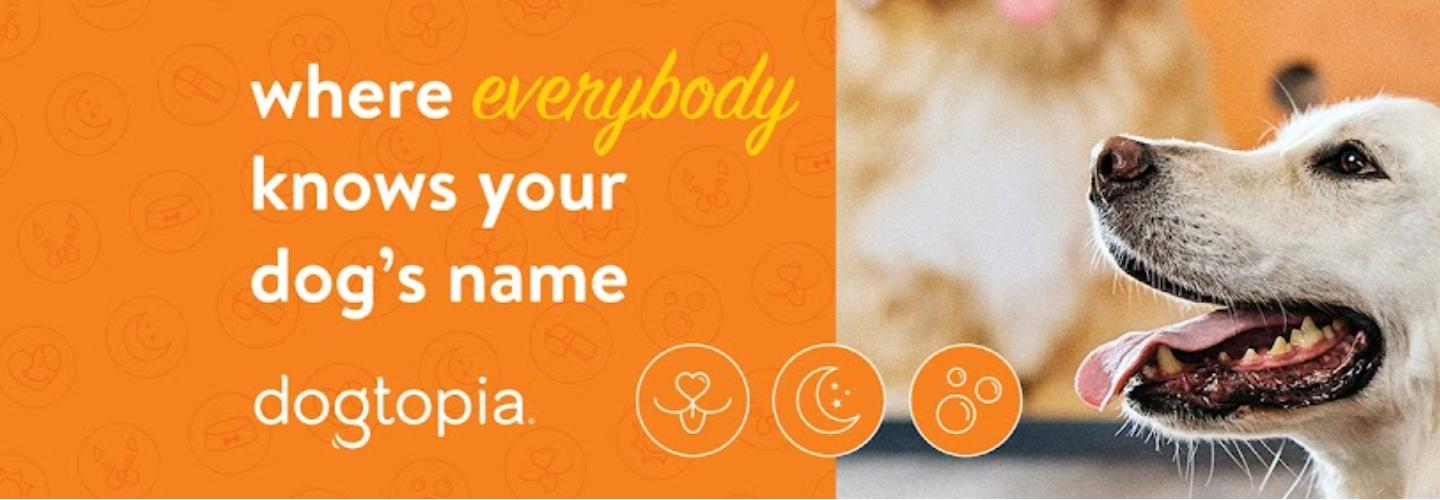 Dogtopia of Easton cover photo