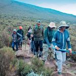 African Scenic Safaris - photo 7