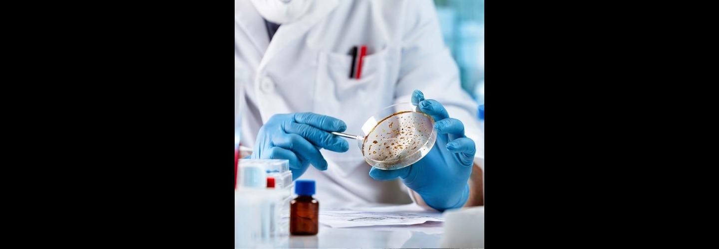 Mold and Environmental cover photo