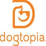 Dogtopia of Gainesville - Dog Walkers in Gainesville