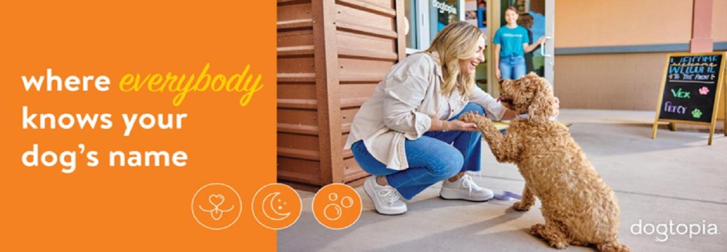 Dogtopia of Gainesville cover photo