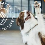 Dogtopia of Gainesville - photo 2