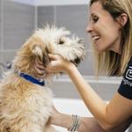 Dogtopia of Gainesville - photo 7