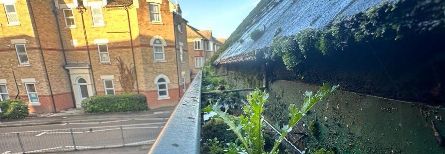 Enhance Exteriors cover photo