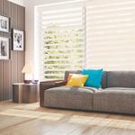 Blinds and Borders - photo 3