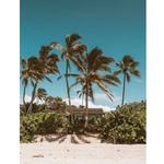 Oahu Home Buyers - photo 1