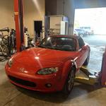 Animal Speedwerks - photo 2