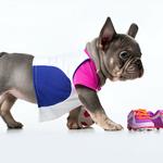 Frenchie Shop - photo 1