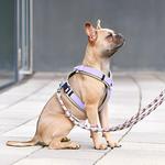 Frenchie Shop - photo 2