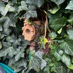 Turner Plumbing - photo 1