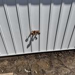 Turner Plumbing - photo 5