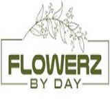 flowerz by day - Event Planning & Services in Hayden