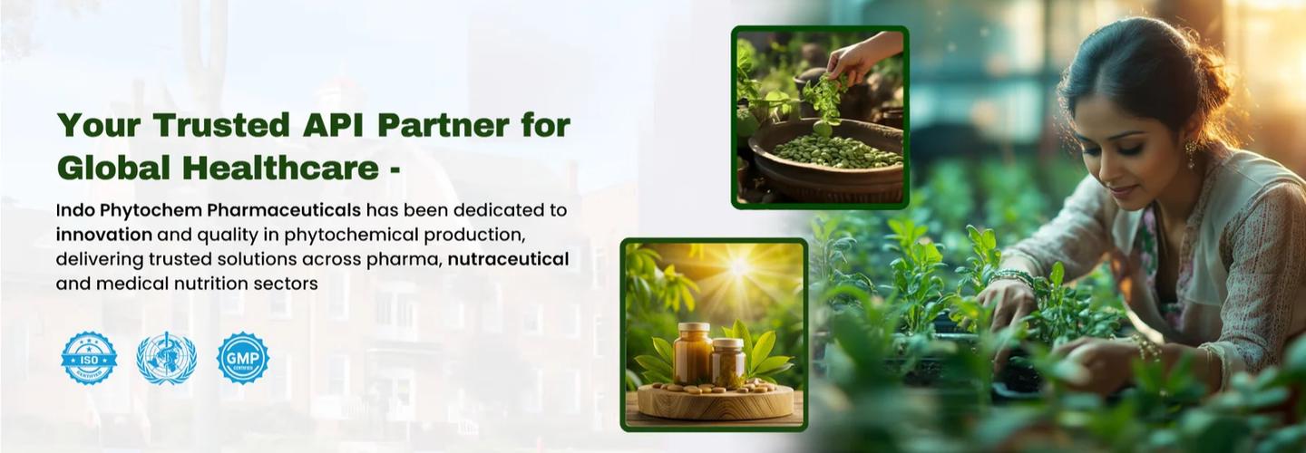 Indo Phytochem Pharmaceuticals cover photo