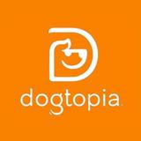 Dogtopia of Fort Collins - Pet Services in Fort Collins