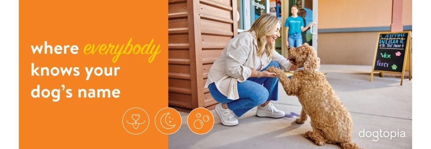 Dogtopia of Fort Collins cover photo