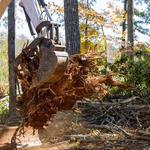 RedTop Land Services - photo 3