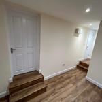 Lion and Leinster - photo 1