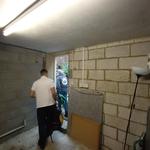 Lion and Leinster - photo 2