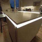 Lion and Leinster - photo 4