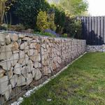 Lion and Leinster - photo 5