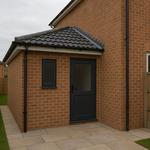 Lion and Leinster - photo 6