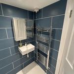 Lion and Leinster - photo 9