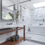 Lion and Leinster - photo 10