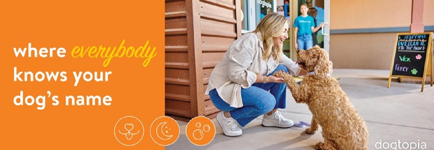 Dogtopia of Dulles cover photo