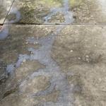 Rons House Washing - photo 7