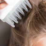 Lice Clinics of America - Vancouver - photo 2