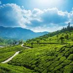 RentACar Kottayam - photo 6