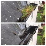 Fife Exterior Cleaning Services - photo 2