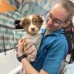 Dogtopia of East Pasadena - photo 1