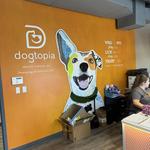 Dogtopia of East Pasadena - photo 5