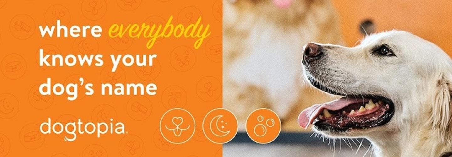 Dogtopia of Harrison Ave cover photo