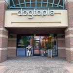 Dogtopia of Harrison Ave - photo 1