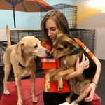 Dogtopia of Harrison Ave - photo 4