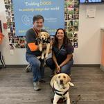 Dogtopia of Harrison Ave - photo 10