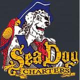 Sea Dog Marathon Fishing Charters - Hunting & Fishing Supplies in Marathon