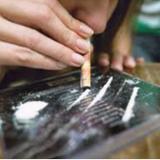 Swissfish Canna Shop