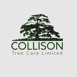 Collison Tree Care | Tree Surgeons Bedfordshire - Tree Services in Leighton Buzzard