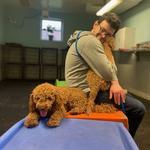 Dogtopia of Dulles - photo 2