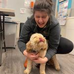 Dogtopia of Dulles - photo 3