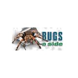 Bugs A Side Pest Control services - Pest Control in Sydney